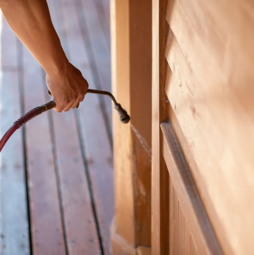 Trusted Pest Control - Commack Pest Control Pros | Commack, NY | 631-613-8663